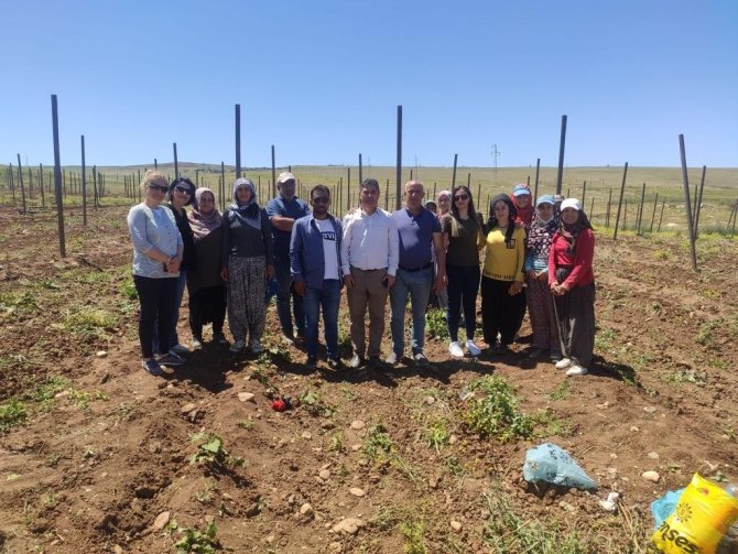 Siirt’te Kadınlara Kooperatifçilik Eğitimi