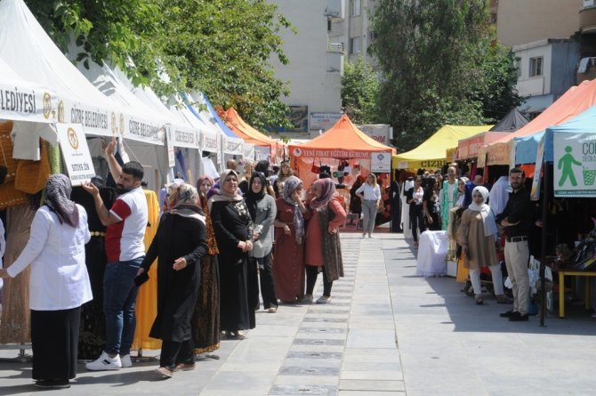 Cizre’de "Hayat Boyu Öğrenme Haftası" Coşkuyla Kutlandı