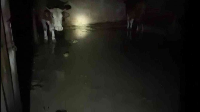 Amasya’da Kumluk Deresi Taştı, Ev Ve Ahırları Su Bastı