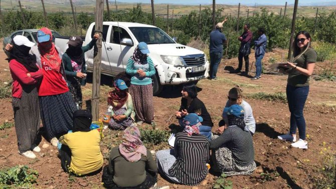 Siirt’te Kadınlara Kooperatifçilik Eğitimi