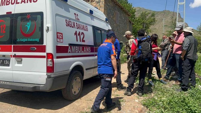 Ayı Saldırısından Elindeki Sopayla Kurtuldu