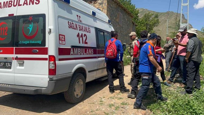 Ayı Saldırısından Elindeki Sopayla Kurtuldu