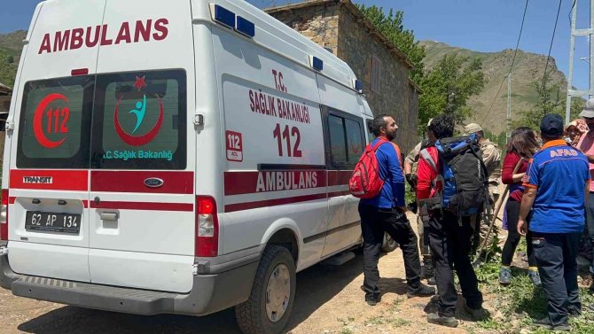 Ayı Saldırısından Elindeki Sopayla Kurtuldu