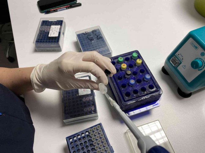 "Türkiye’de Kamuda 1 Yılda En Fazla Genetik Test Sonuçlandıran Merkez"