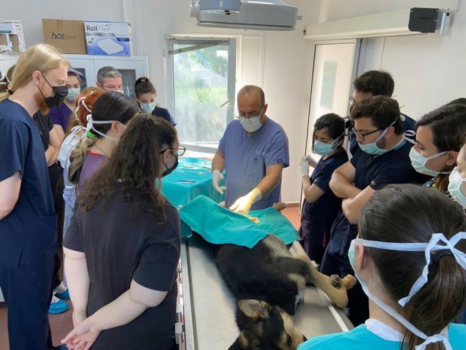 Geleceğin Veteriner Hekimleri Osmangazi’de