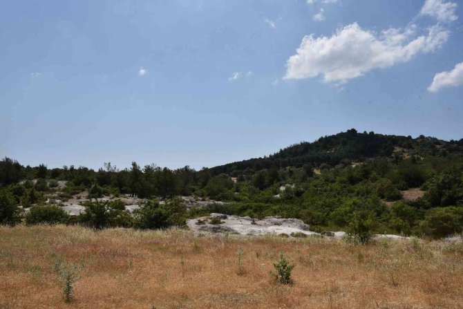 Yunusemre’deki Fosil Ormanı Turizme Kazandırılacak
