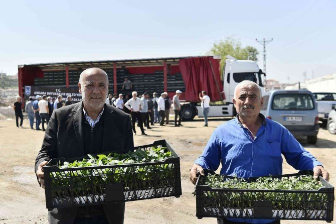 9 Bin 640 Çiftçiye 9,5 Milyon Sebze Fidesi Dağıtıldı
