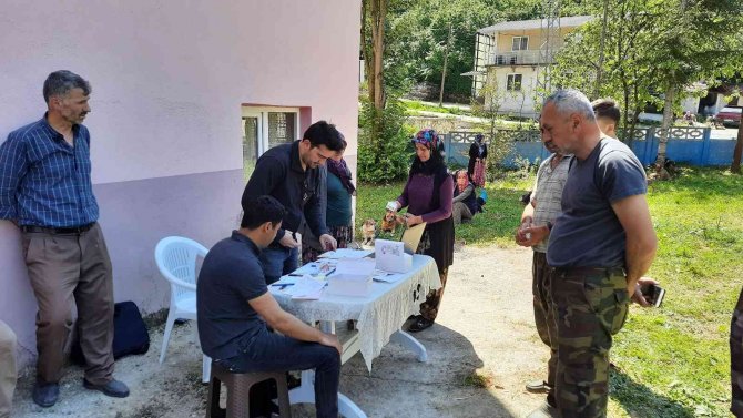 Zonguldak’da Köpekler Artık Mikroçipli