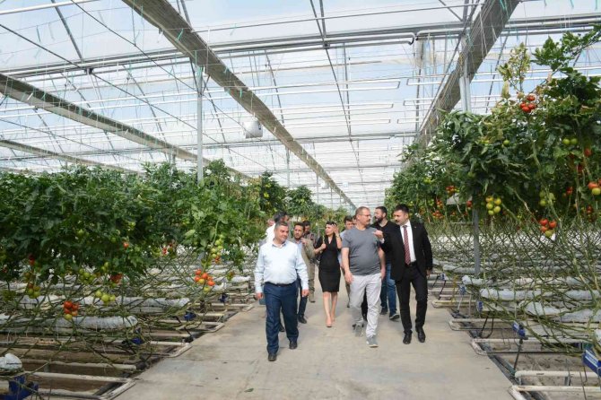 Tatvan Heyetinden Van Ve Ağrı’daki Seralara İnceleme Ziyareti