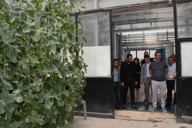 Tatvan Heyetinden Van Ve Ağrı’daki Seralara İnceleme Ziyareti