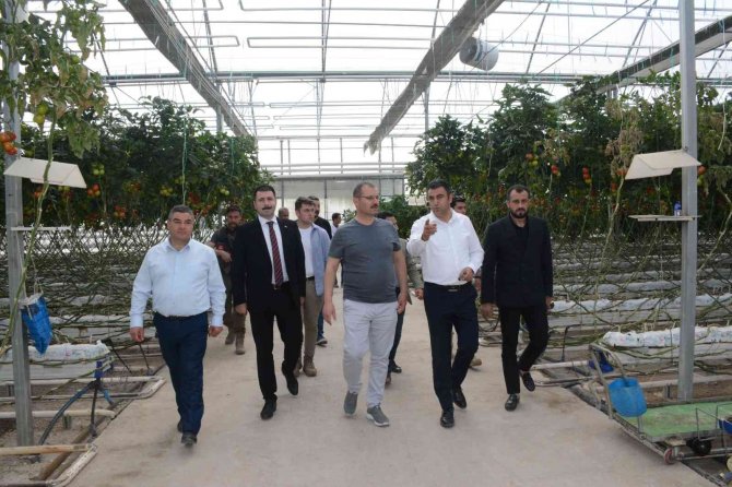Tatvan Heyetinden Van Ve Ağrı’daki Seralara İnceleme Ziyareti