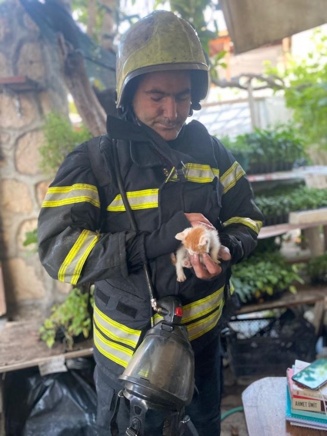 İ̇tfaiye Ekipleri, Yanan Evi Söndürmek Ve İçeride Bulunan Kedi Yavrusunu Kurtarmak İçin Seferber Oldu