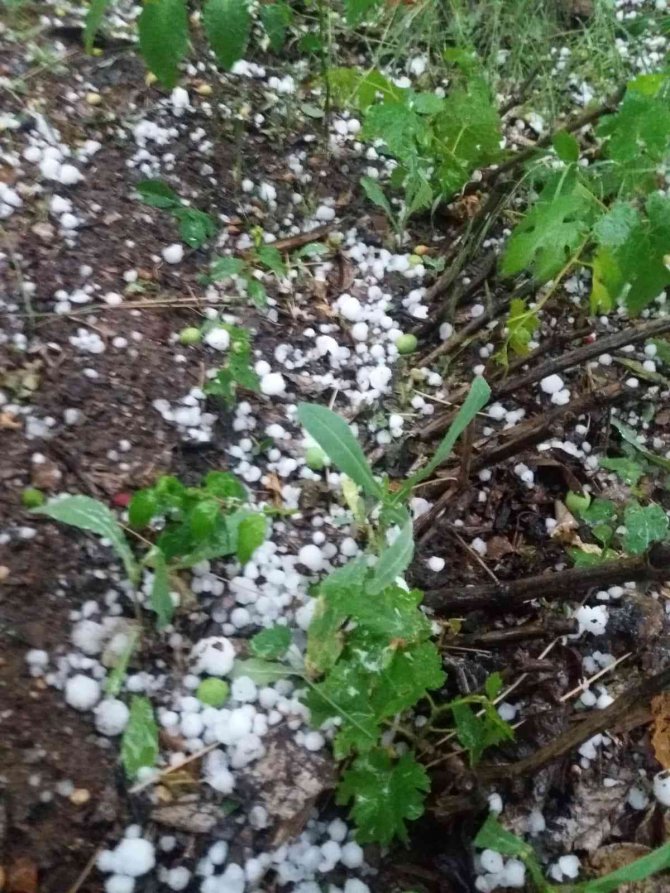 Denizli’de Şiddetli Yağış Ve Dolu Yaşamı Olumsuz Etkiledi