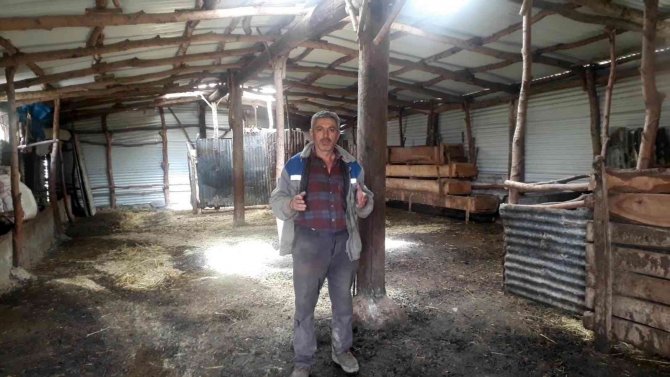 Dolandırılan Çiftçinin Elinde Sadece Boş Ahırları Kaldı