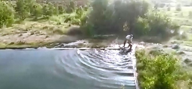 Havuza Düşen İneği Vatandaş Kurtardı
