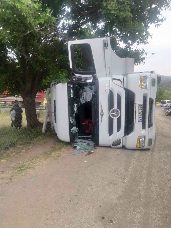 Elazığ’da Hayvan Yüklü Tır Yan Yattı, 170 Hayvan Telef Oldu
