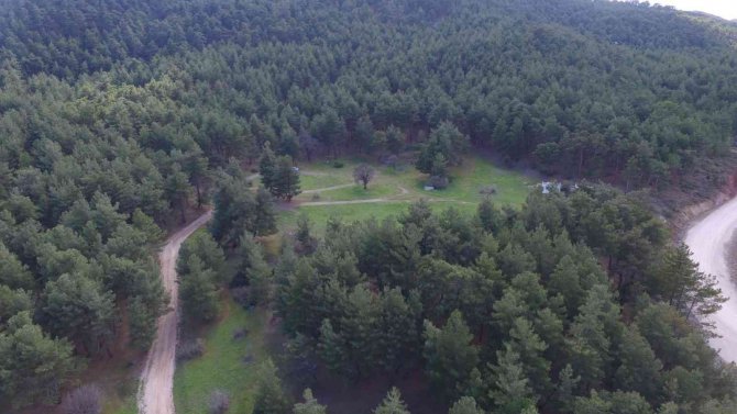 Gediz’de Piknik Alanı Yeniden Düzenleniyor