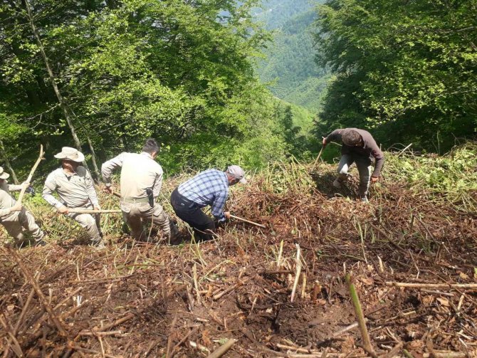 Köylüler Tarafından Bulunan Kafatası, Kemiklerin Ve Kıyafetlerin 7 Yıl Önce Kaybolan Hasan Germiç’e Ait Olduğu Belirlendi