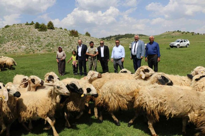 Mera Islahı Üretici Ve Hayvanları Mutlu Etti