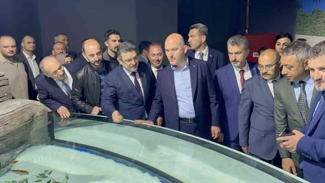 Bakan Süleyman Soylu Tünel Akvaryumu Gezdi