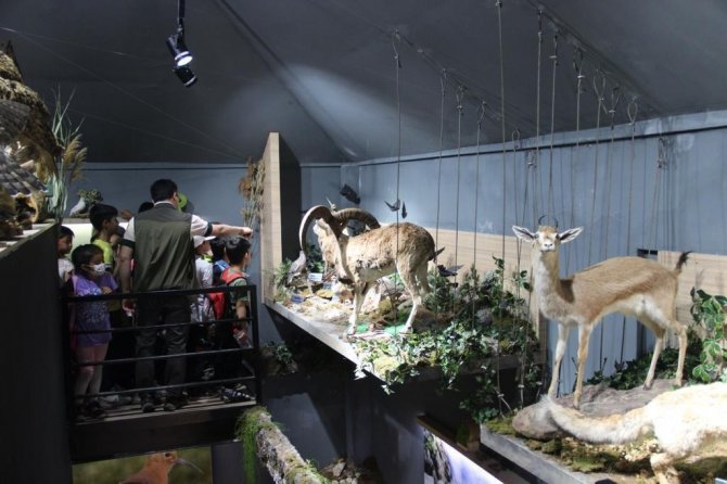 Kırşehir’de, Aşıkpaşa Tabiat Parkı Odak Noktası Oldu