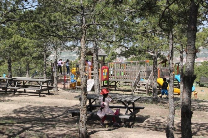 Kırşehir’de, Aşıkpaşa Tabiat Parkı Odak Noktası Oldu