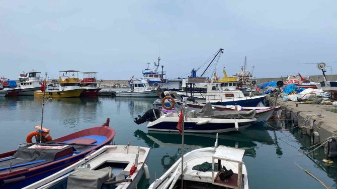 Balıkçılardan Lüfer Müjdesi