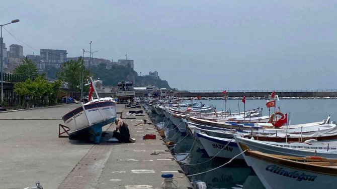 Balıkçılardan Lüfer Müjdesi