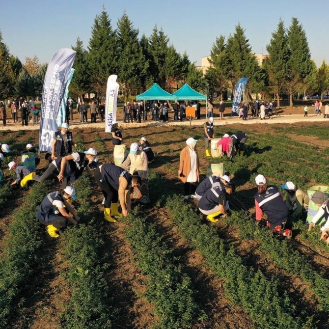 Sekapark A.ş. Organik Tarıma Geçiş Sürecini Başlattı