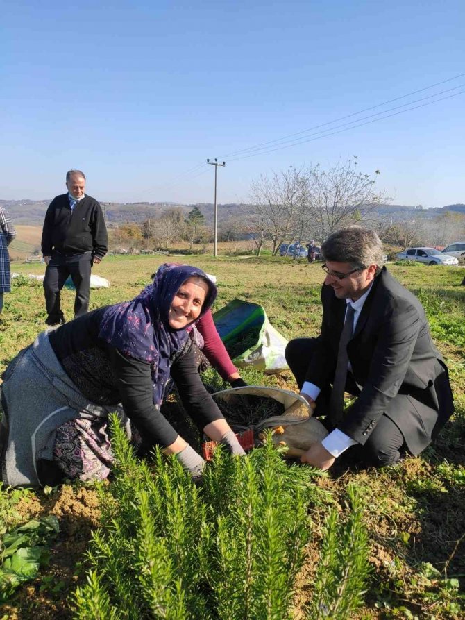 Sekapark A.ş. Organik Tarıma Geçiş Sürecini Başlattı