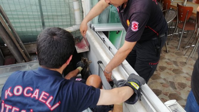 İ̇ki Bina Arasında Mahsur Kalan Kediye İtfaiyeden Kurtarma Operasyonu
