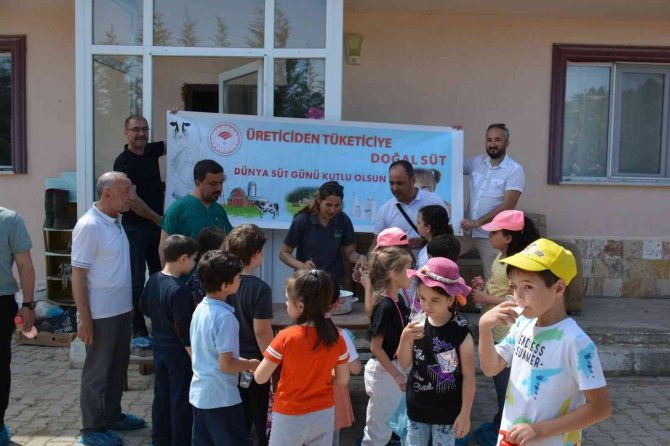 Kütahyalı Minik Öğrenciler, Sütün Önemini Çiftlikte Öğrendi
