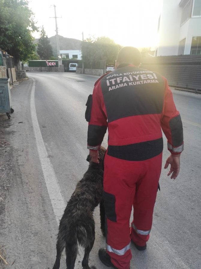 Kuyuya Düşen Köpek Kurtarıldı