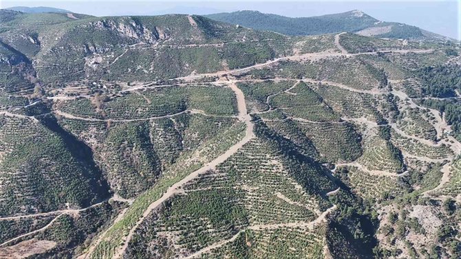 Manisa’da Ormanlık Alanlara Girişler Yasaklandı