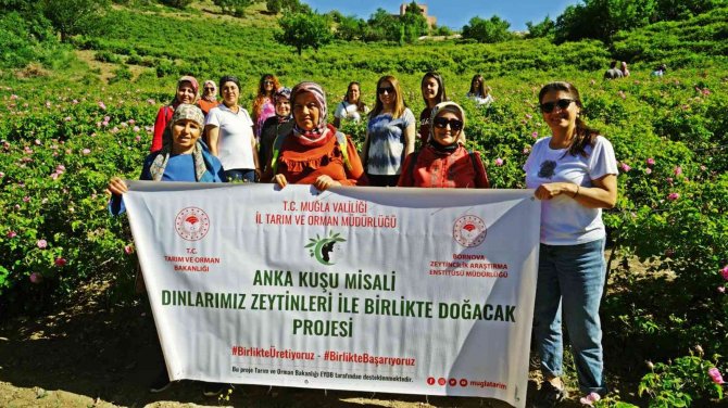 Muğlalı Kadın Üreticilere Teknik Gezi