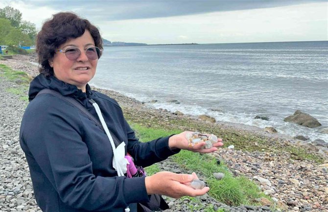Fatsa Sahilindeki Değerli Taşlar İlgi Çekiyor