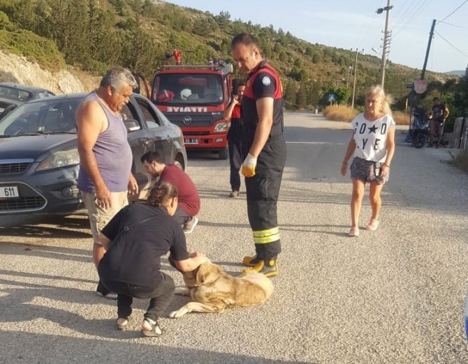 Otomobilin Altına Sıkışan Köpeği İtfaiye Kurtardı