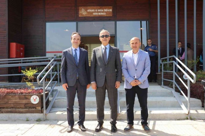 Savunma Sanayii Başkanı İ̇smail Demir, Altınova’da Tıbbı Aromatik Bahçesini Gezdi