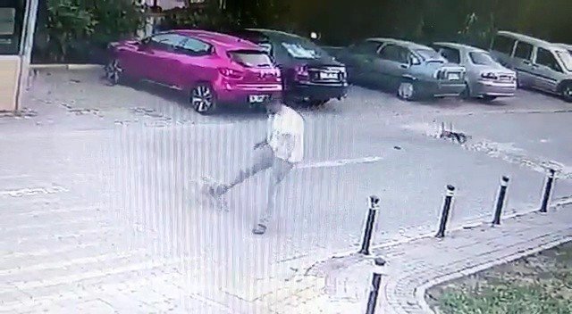 Yolda Yürürken Sebepsiz Yere Köpeğe Tekme Attı, O Anlar Kamerada