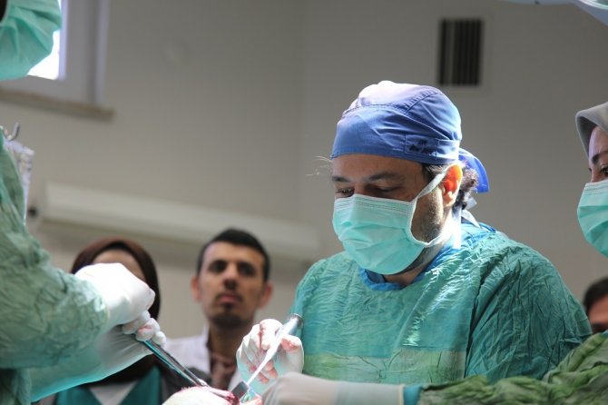 Bingöl’den Getirilen K9 Cinsi Köpek Sivas’ta Ameliyat Edildi