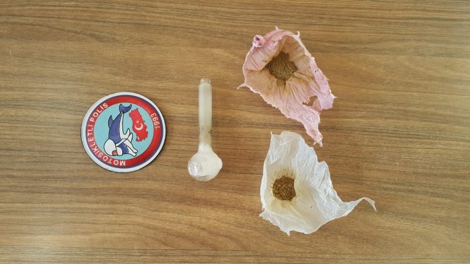 Van’da ‘Torbacı’ Operasyonu