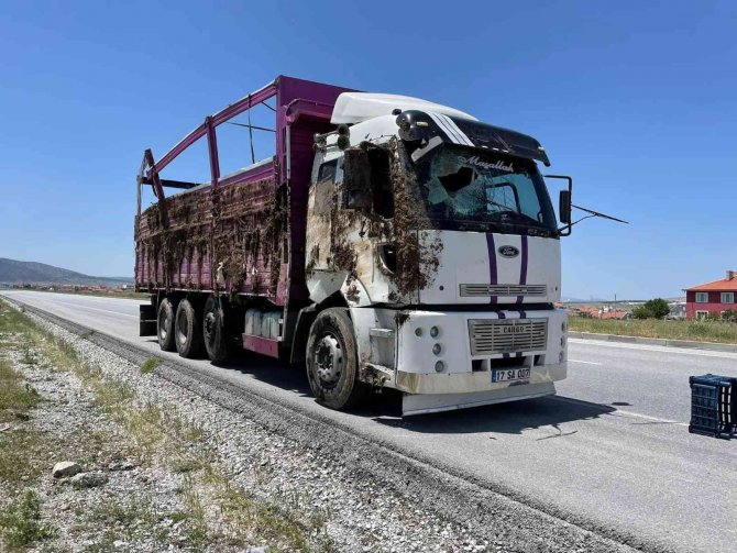Kontrolden Çıkan Dolmalık Biber Yüklü Kamyon Refüje Devrildi
