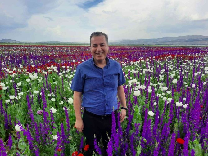 Doğaya Adeta Halı Serildi