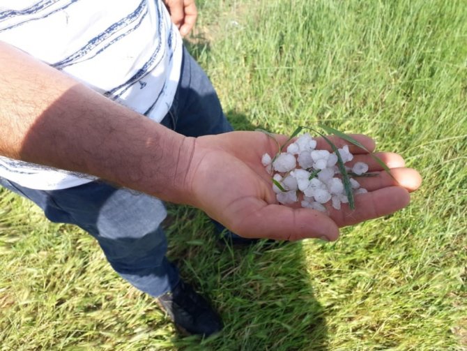 Altıntaş’ta Etkili Olan Dolu Ekili Alanlarda Zarara Yol Açtı