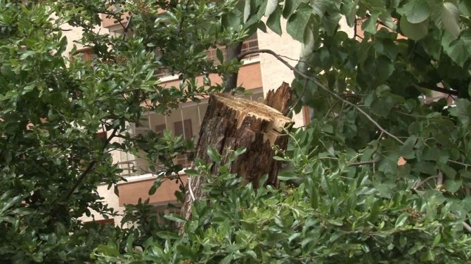 Ankara’da Gece Yaşanan Fırtınanın İzleri Sabah Ortaya Çıktı