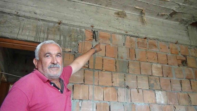 İ̇nşaattaki Kuş Yuvasından Beyaz Kırlangıç Çıktı, Görenler Şaştı Kaldı