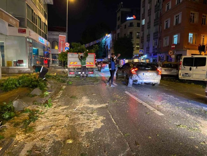 Tır’ın Çarptığı Ağaç Ortadan İkiye Kırıldı