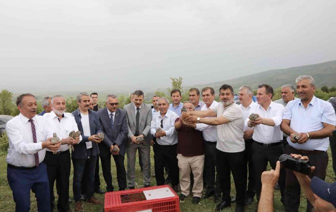 Süne İle Biyolojik Mücadele Timi Görev Başında