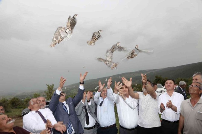 Süne İle Biyolojik Mücadele Timi Görev Başında