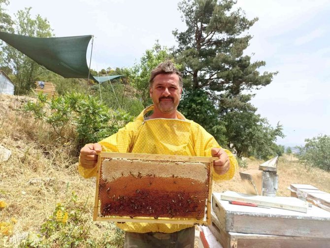 Bahar Balında 12 Yıl Sonra Yaşanan Bolluk Arıcıları Sevindirdi